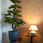 Appartement Priolo In - 5th Floor *