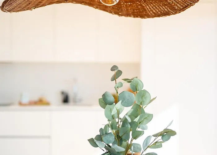 Priolo In - 5th Floor Ponta Delgada